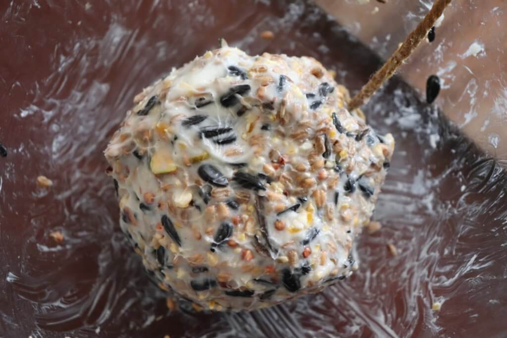 Lard Bird Feed Balls Craft ⋆ Jupiter Hadley