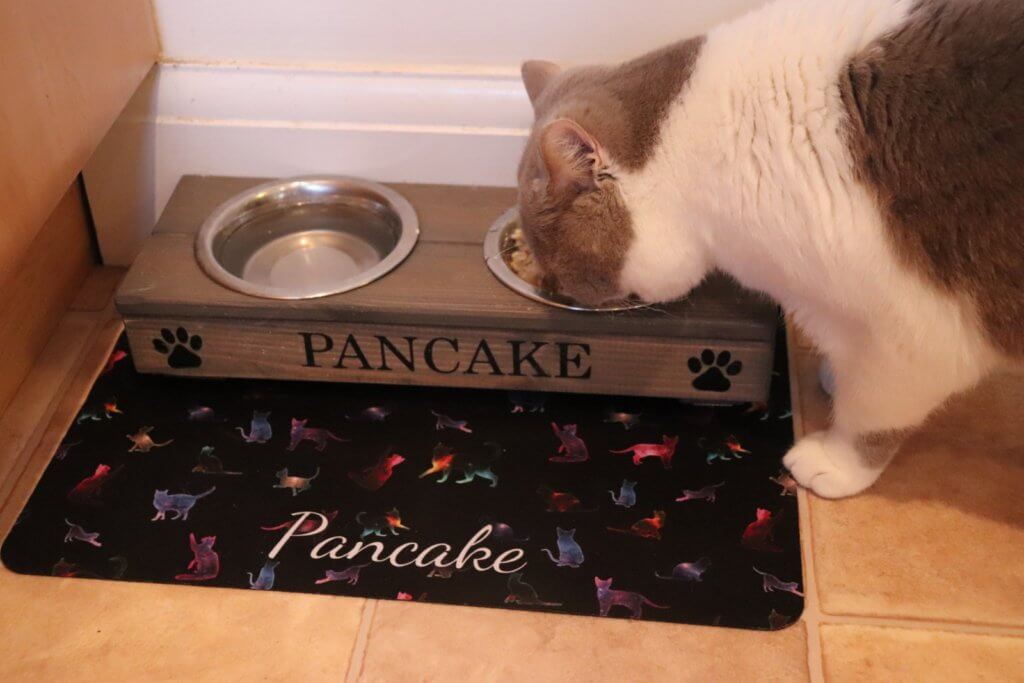 Personalized Pet Food Mat Review ⋆ Jupiter Hadley