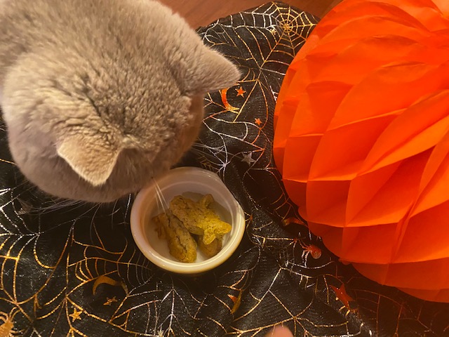 Pumpkin Cat Treats Recipe ⋆ Jupiter & Dann