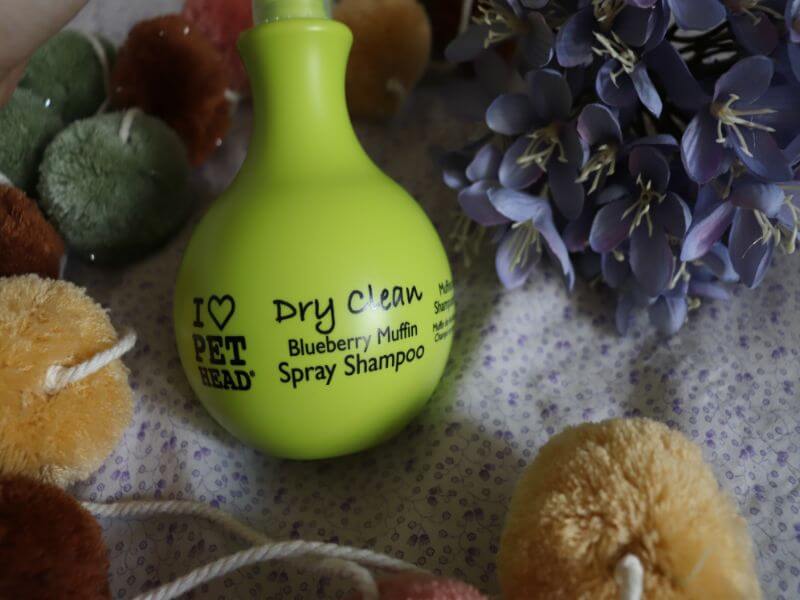 pet head dry clean spray shampoo