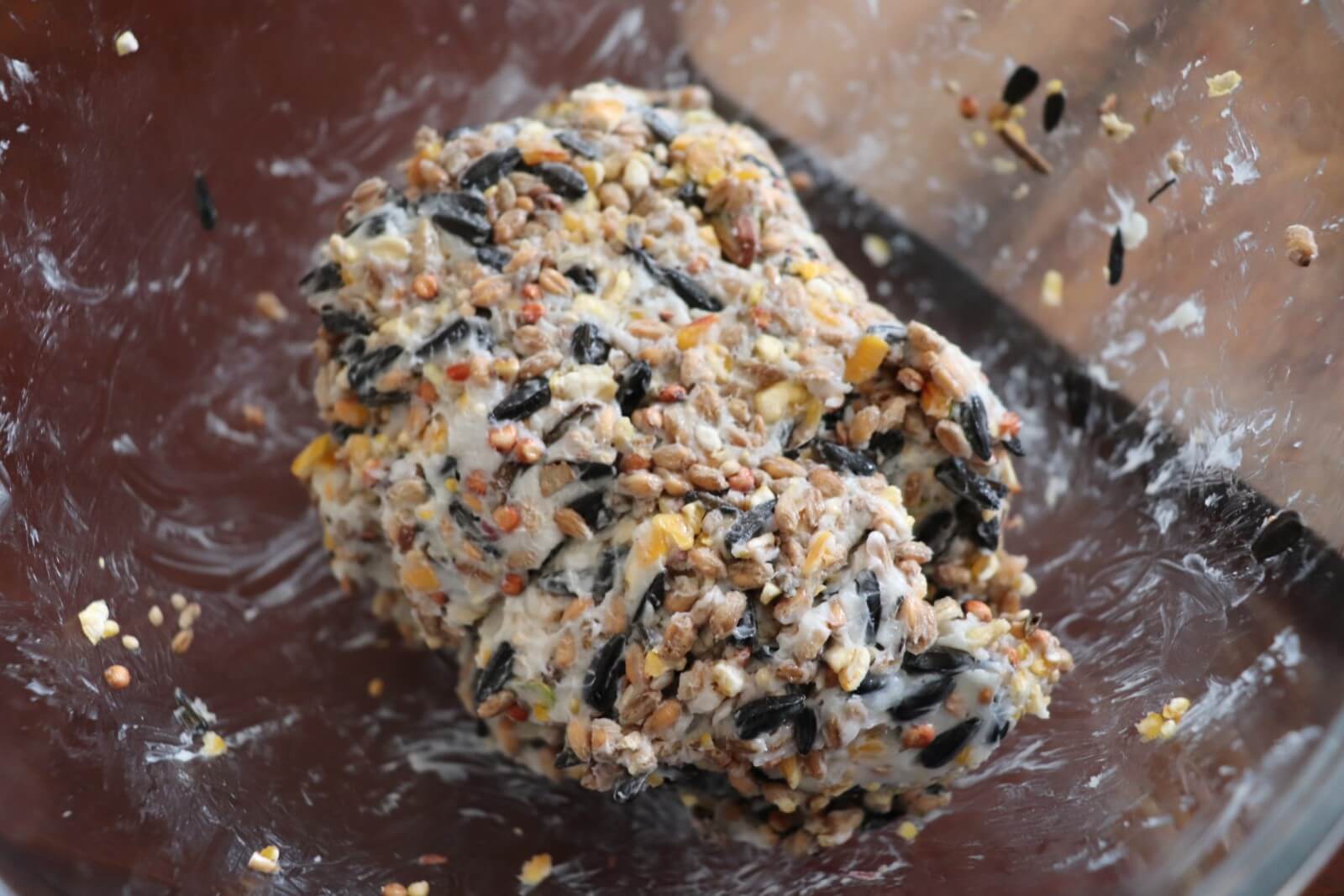 Lard Bird Feed Balls Craft ⋆ Jupiter & Dann