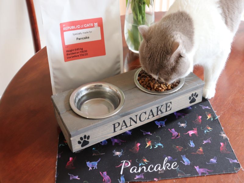 Republic of Cats Cat Food Review ⋆ Jupiter & Dann