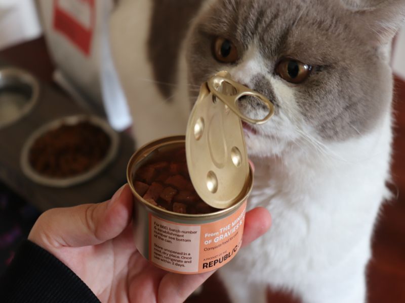 Republic of Cats Cat Food Review ⋆ Jupiter & Dann