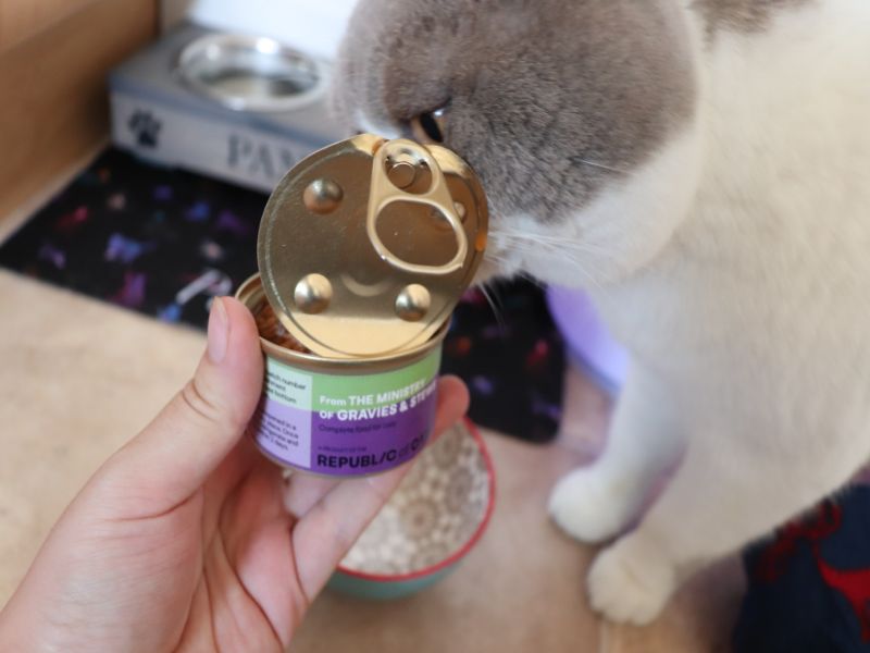 Republic of Cats Cat Food Review ⋆ Jupiter & Dann