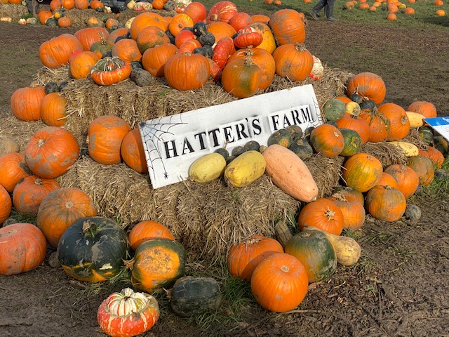 Hatter's Farm