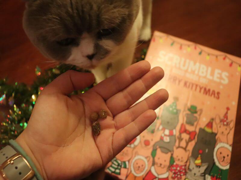 Scrumbles Cat Advent Calendar 