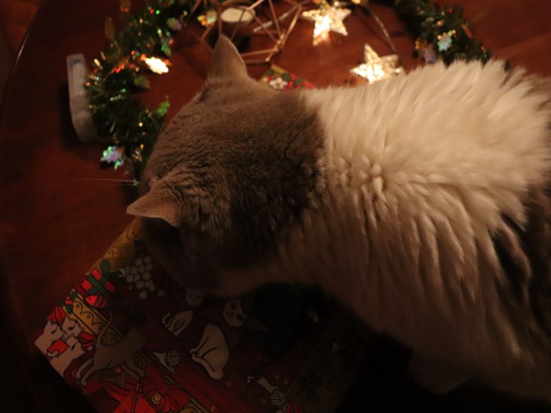 Lily’s Kitchen Christmas Spectacular Advent Calendar & Turkey Dinner ⋆