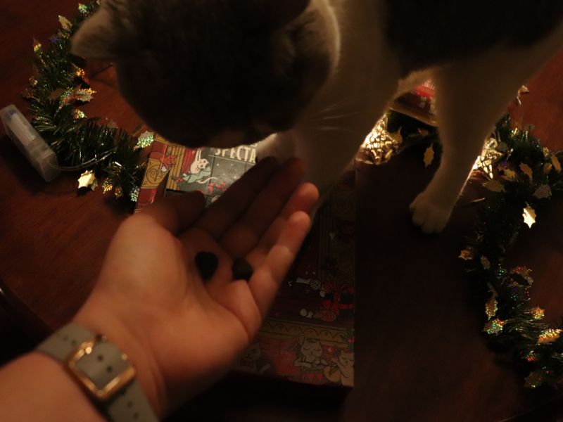 Lily’s Kitchen Christmas Spectacular Advent Calendar & Turkey Dinner ⋆