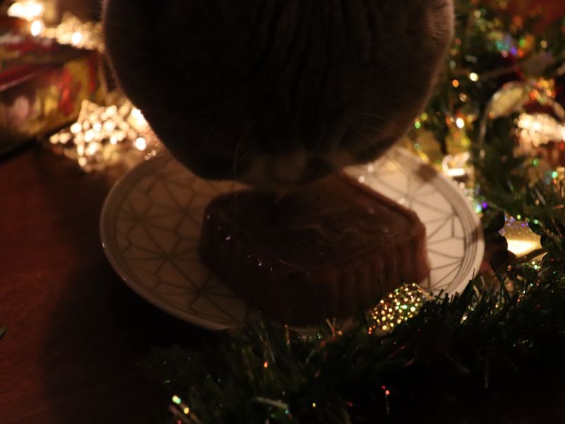 Lily’s Kitchen Christmas Spectacular Advent Calendar & Turkey Dinner ⋆